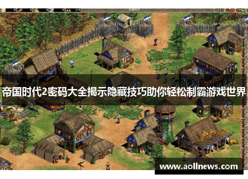 帝国时代2密码大全揭示隐藏技巧助你轻松制霸游戏世界